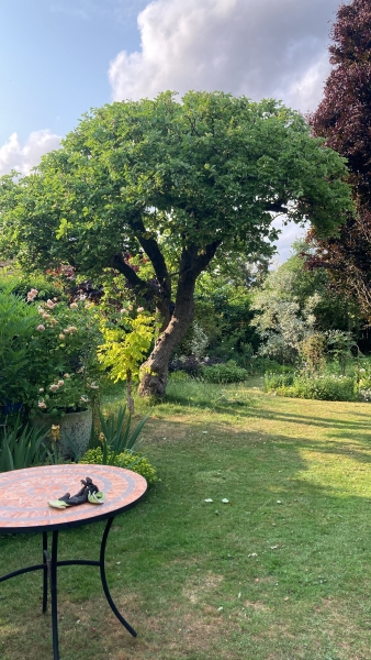 The Hollies, 36 Symonds Lane